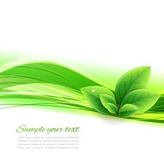 Eco banner with wave and leaves N2