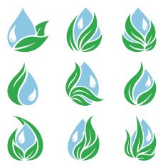 Ecology drops and leaves N2