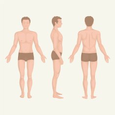 man body front back and side human pose