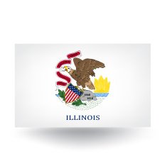 Illinois State Flag N2