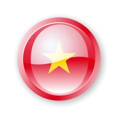 Vietnam Flag Icon