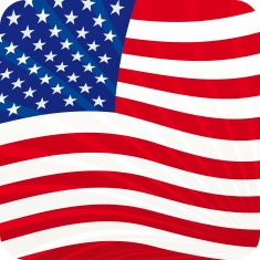 1-credit American flag button (vector)