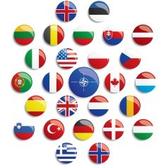 NATO Flag Buttons