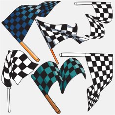Racing Flags N13