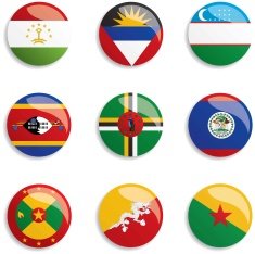 World Flag buttons N19