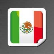 Mexican flag button