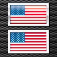Chrome Flag USA