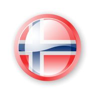 Norwegian Flag Icon