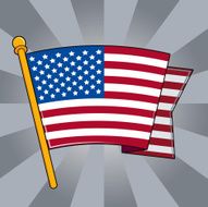 US Flag N8