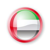 United Arab Emirates Flag Icon