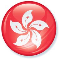 Hong Kong Super Glossy Flag