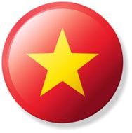 Vietnam Lapel Flag