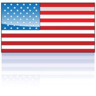 Glossy American Flag N2