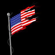 Old American Flag N2