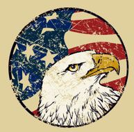 Bald Eagle Bird with American Flag Weathered USA