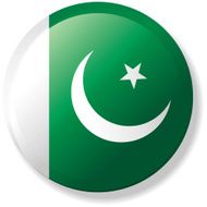 Flag Lapel Button - Pakistan