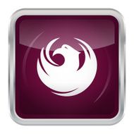 Flag Phoenix N4