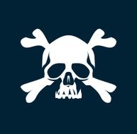 Pirate Flag N21