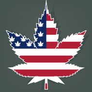 Marijuana leaf with the USA flag Vector