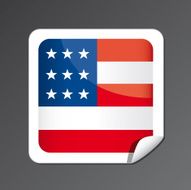 American flag button