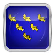 Flag of Sussex N5