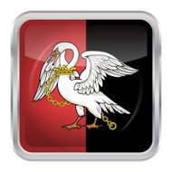 Flag of Buckinghamshire N5