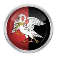 Flag of Buckinghamshire N6