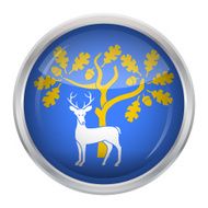 Flag of Berkshire N7