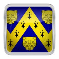 Flag of Shropshire N6