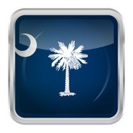 Flag of South Carolina N5