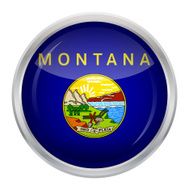 Flag of Montana N2