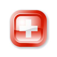 Switzerland Flag Icon