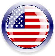 American flag button N2