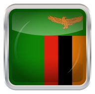 Flag of Zambia N3