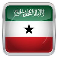 Flag of Somaliland N3