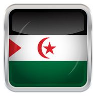 Flag of Sahrawi Arab Democratic Republic N2