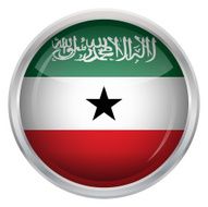 Flag of Somaliland N4