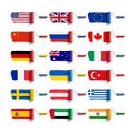 roller brush with flag
