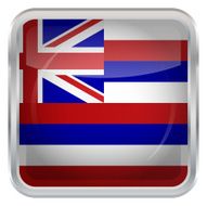 Glossy Button - Flag of Hawaii N3