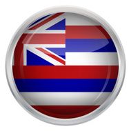 Glossy Button - Flag of Hawaii N4