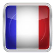 Glossy Button - Flag of France N3
