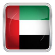 Glossy Button - Flag of United Arab Emirates N2