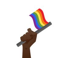 sexuality flag