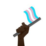 sexuality flag N2