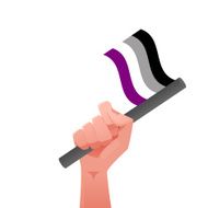 sexuality flag N5