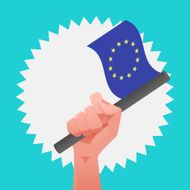 Europe Flag N2