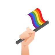 sexuality flag N6