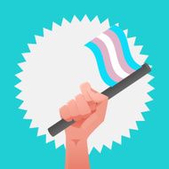 sexuality flag N7