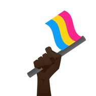 sexuality flag N8