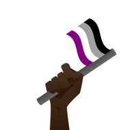 sexuality flag N10
